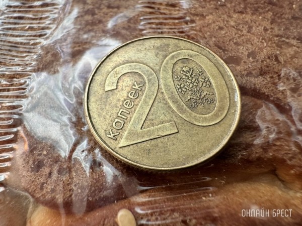 Сколько денег тратят на еду и ЖКХ жители Брестской области