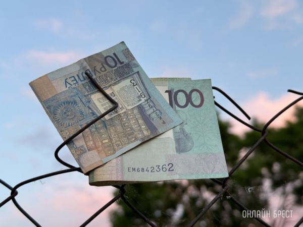 Какую зарплату будут получать белорусы в 2025 году Какую зарплату будут получать белорусы в 2025 году