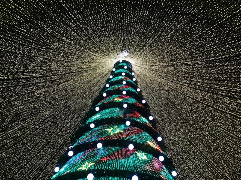 
												Новогодний праздник «Новогодний калейдоскоп» пройдет в Студенческом сквере в Витебске
											